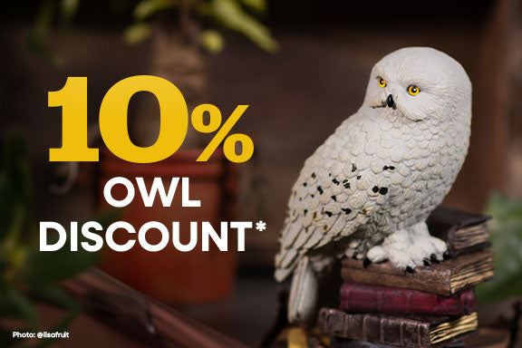 White snowy owl perched on a stack of old books in a cosy, dimly lit setting. Text: 10% owl discount.