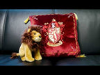 product-video-E1061009-1