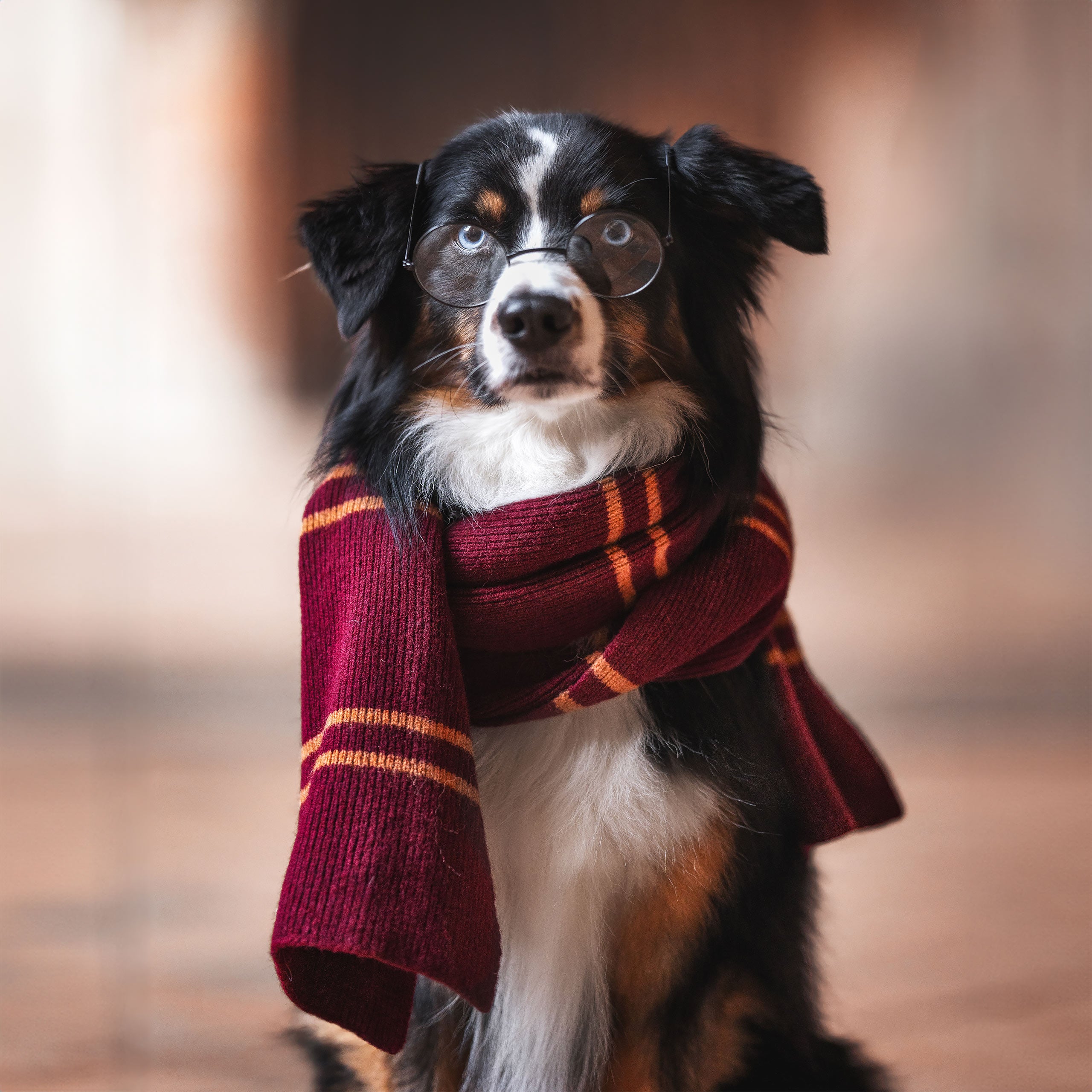 Produktbild Harry Potter - Original Gryffindor Wollschal