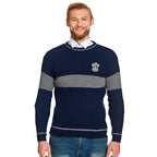 Produktbild Harry Potter - Quidditch Sweater Ravenclaw
