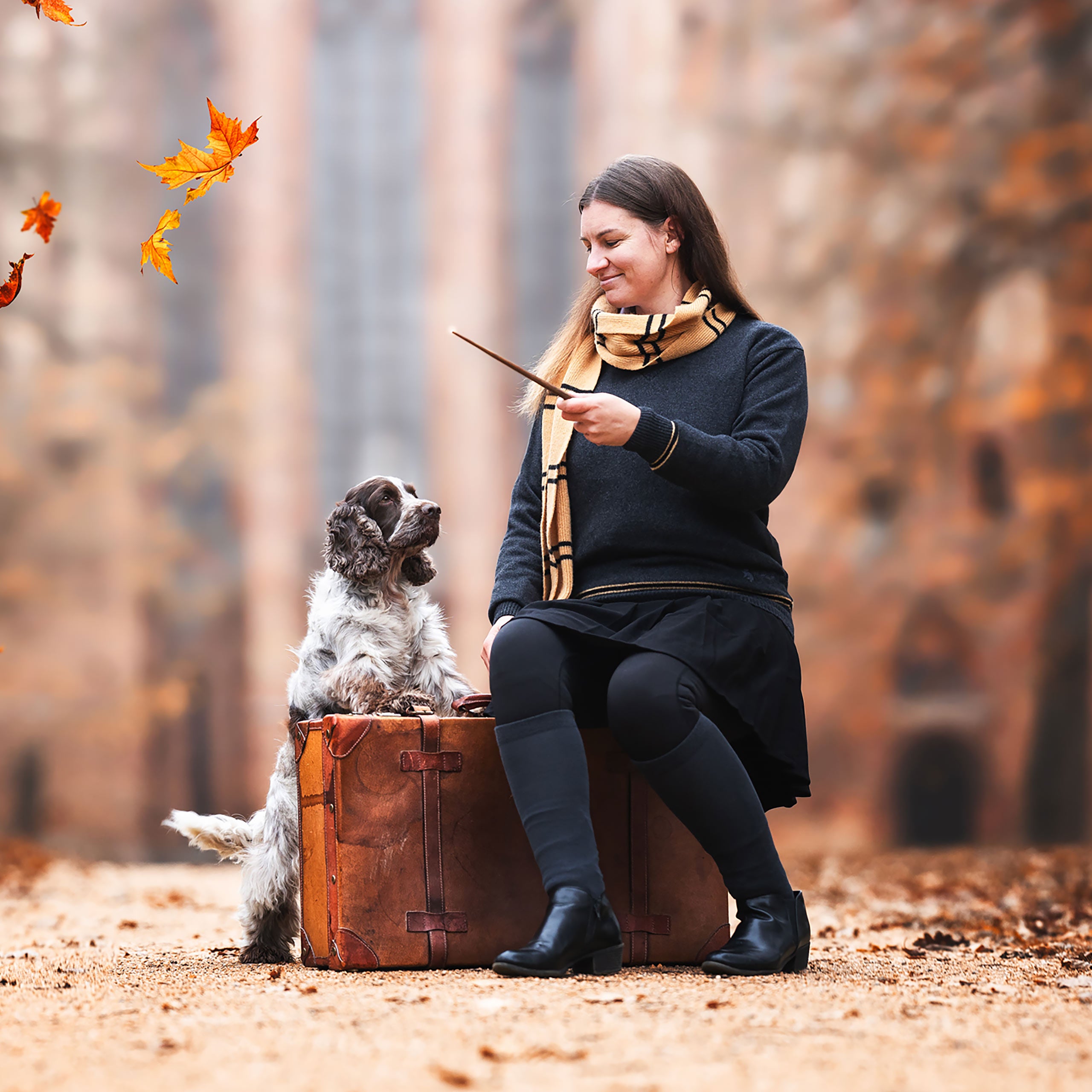 Produktbild Harry Potter - Original Hufflepuff Wollschal