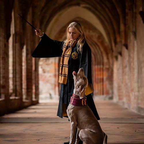 Produktbild Harry Potter - Original Hufflepuff Wollschal