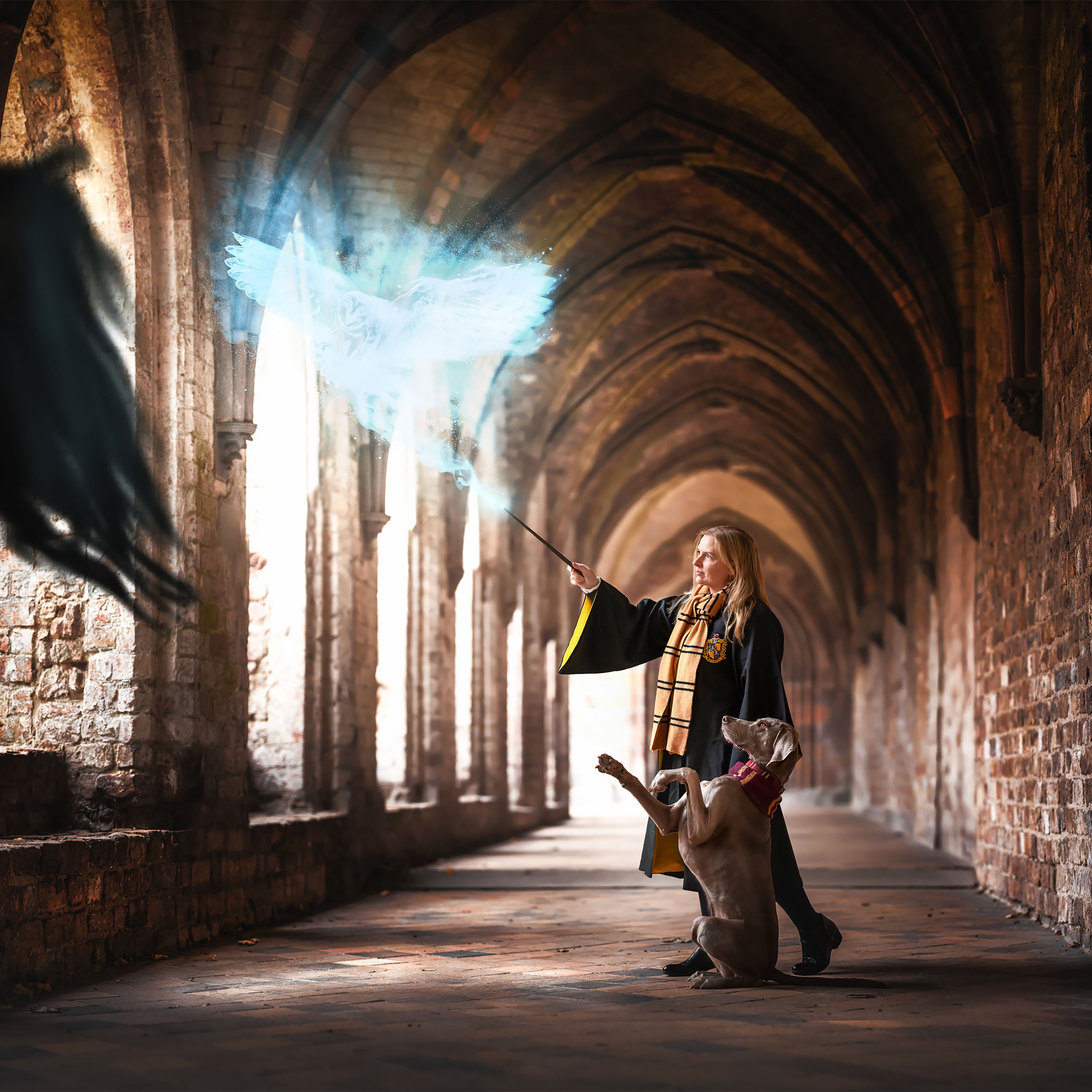 Produktbild Harry Potter - Original Hufflepuff Wollschal