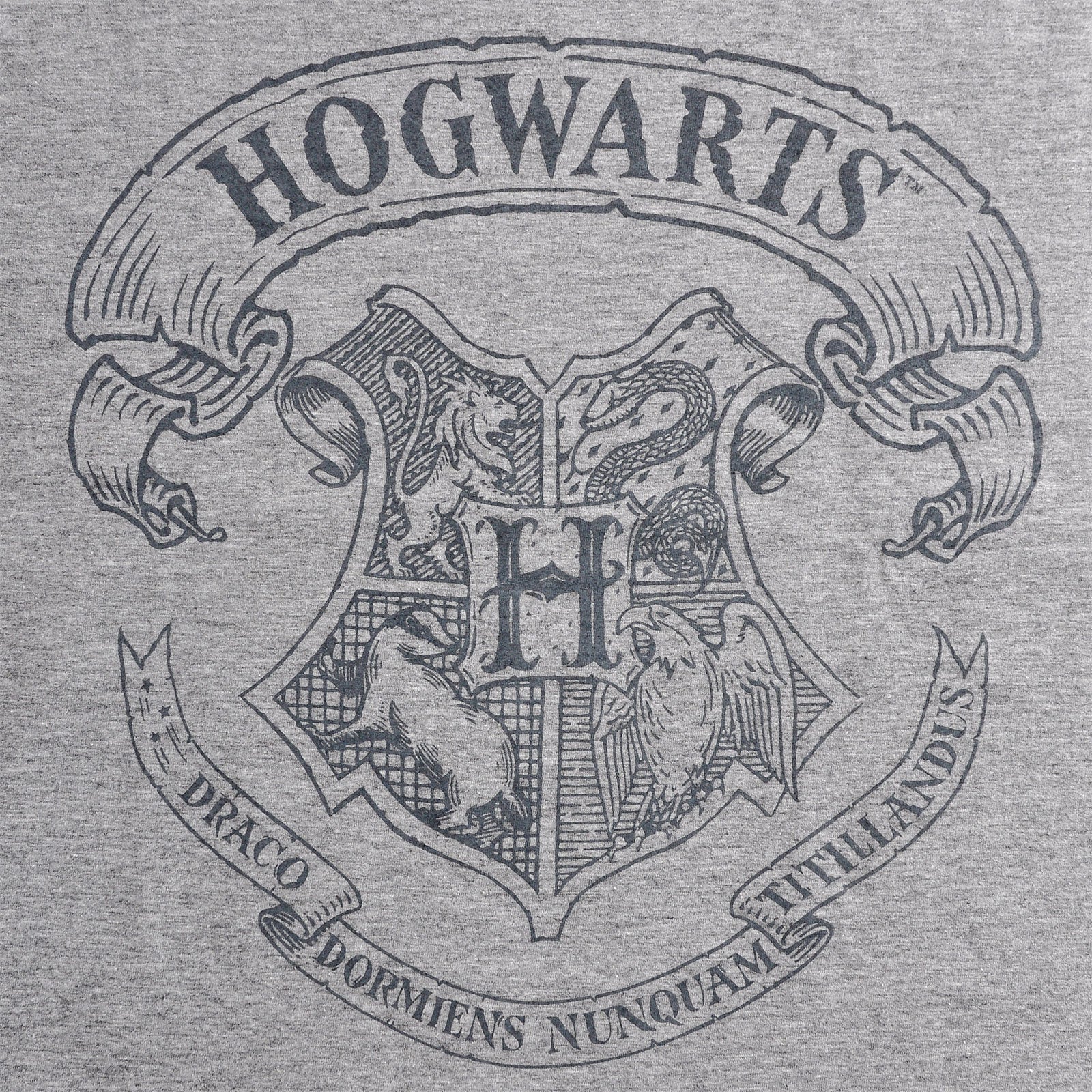 Produktbild Harry Potter - Logo T-Shirt grau