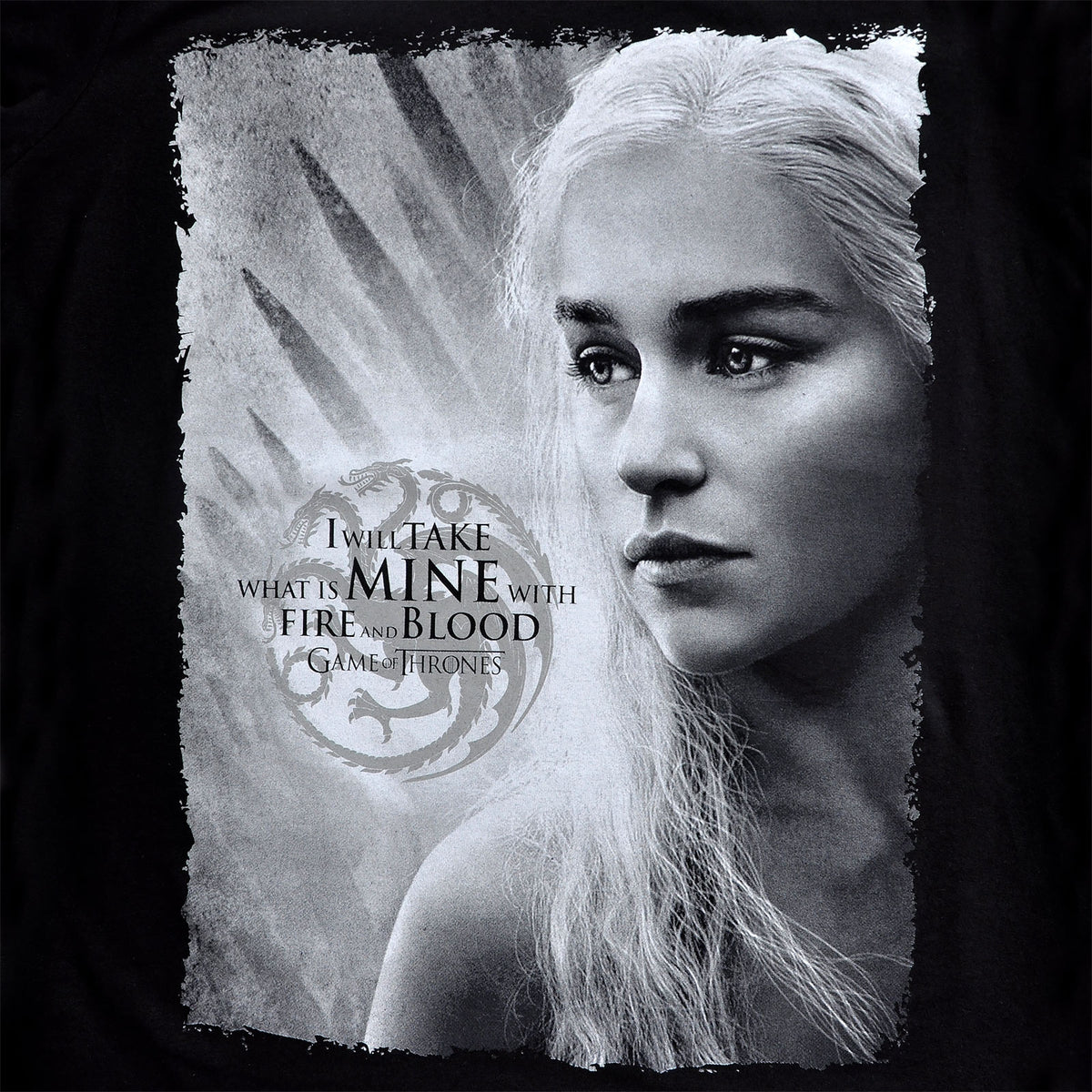 Produktbild Game of Thrones - Daenerys Fire and Blood T-Shirt