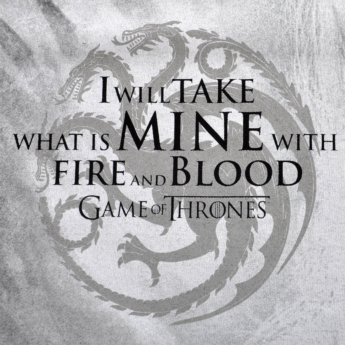 Produktbild Game of Thrones - Daenerys Fire and Blood T-Shirt