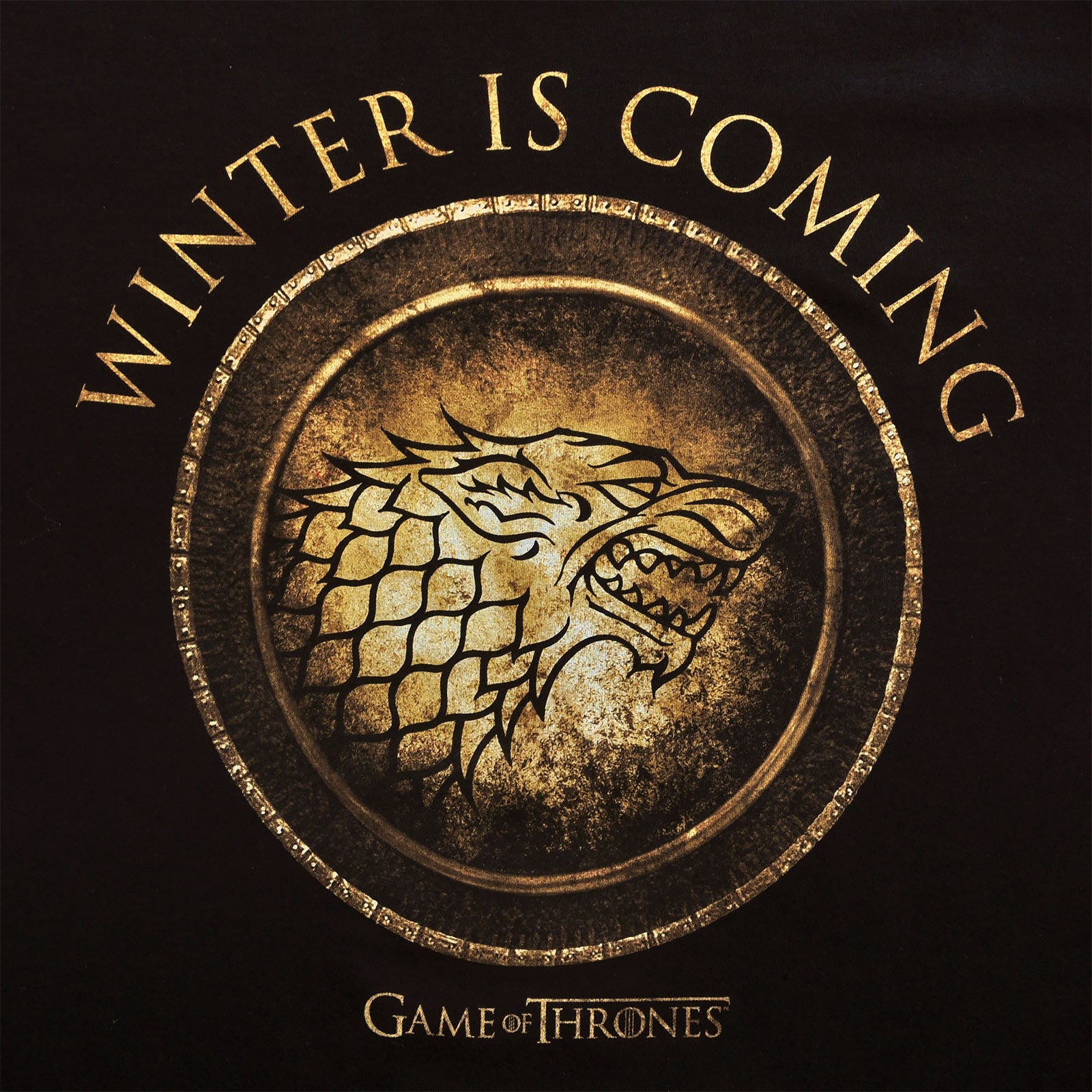 Product image Game of Thrones - House Stark Circular T-Shirt