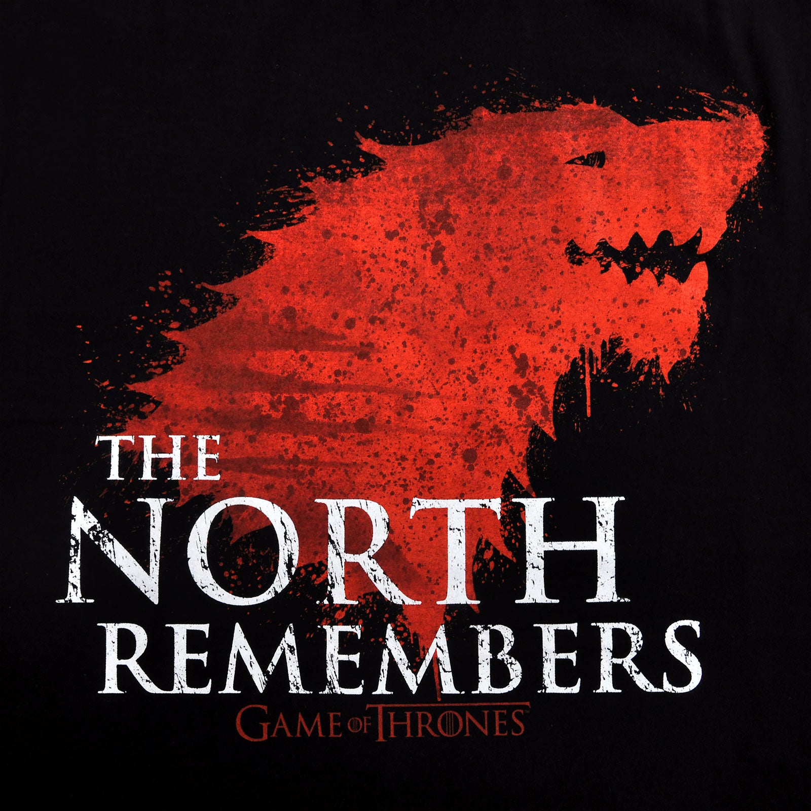 Produktbild Game of Thrones - The North Remembers T-Shirt