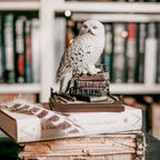 Produktbild Hedwig - Harry Potter Magische Tierwesen Figur