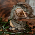 Produktbild Basilisk - Harry Potter Magische Tierwesen Figur