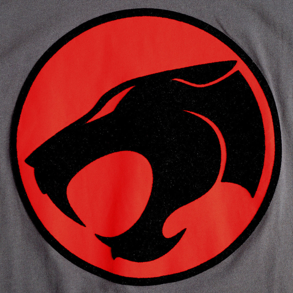 Produktbild ThunderCats - Logo T-Shirt grau