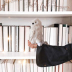 Produktbild Harry Potter - Hedwig Plüsch Figur