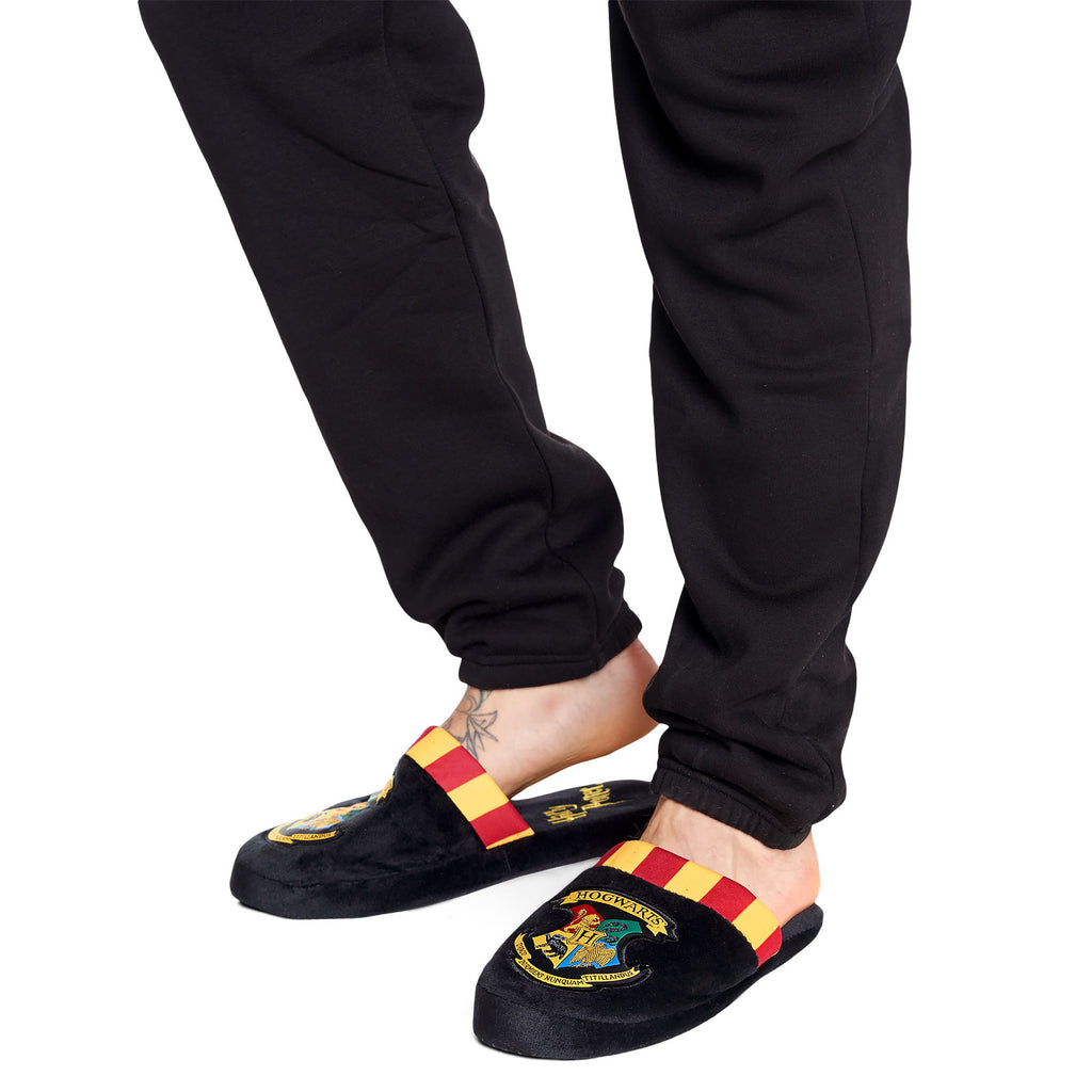 Product image Harry Potter - Hogwarts Plush Slippers Men