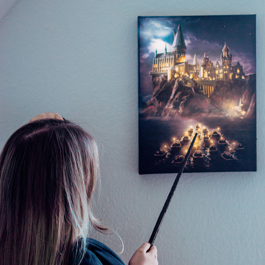 Produktbild Harry Potter - Hogwarts Wandbild mit Licht