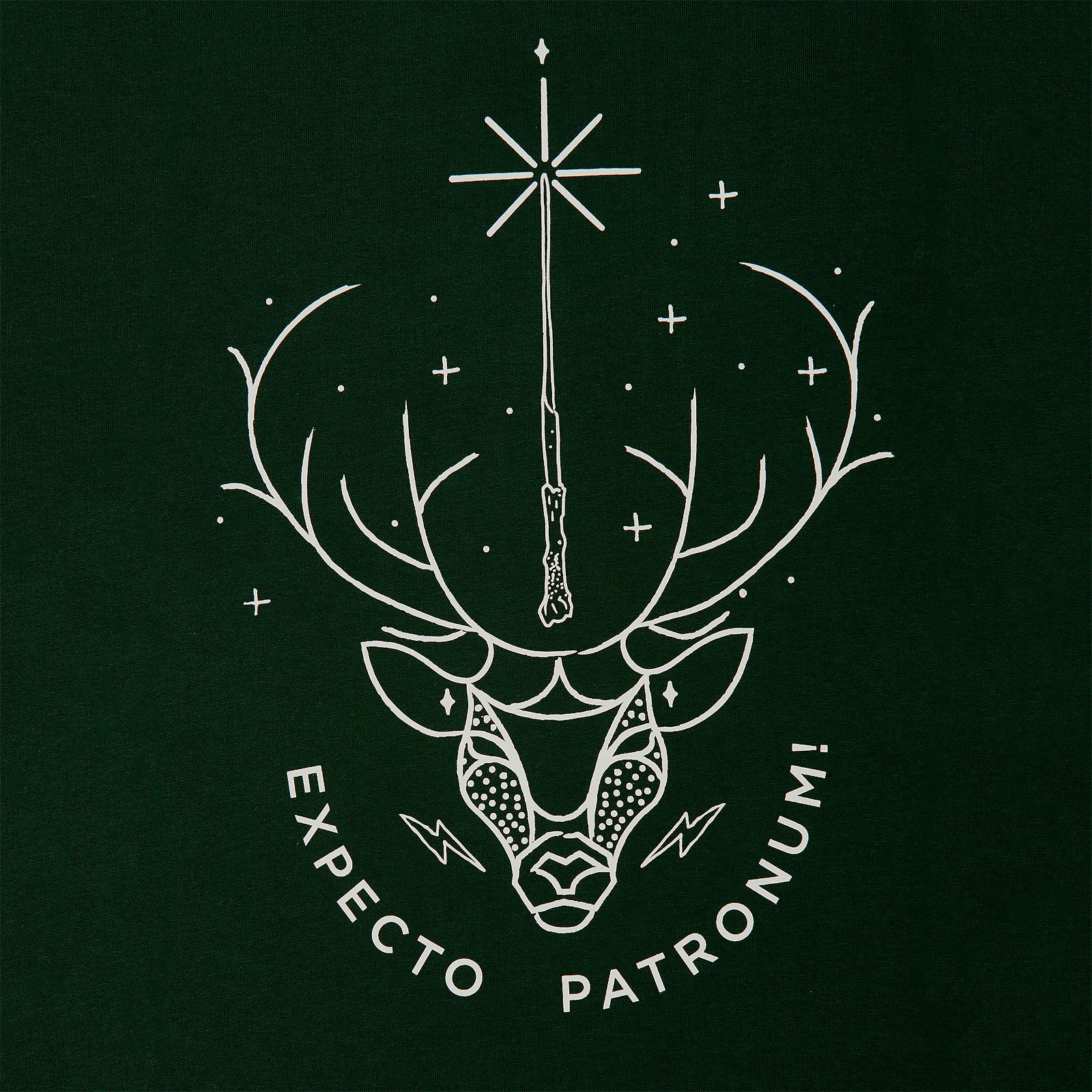 Produktbild Harry Potter - Expecto Patronum T-Shirt grün