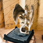 Produktbild Thunderbird - Phantastische Tierwesen Figur