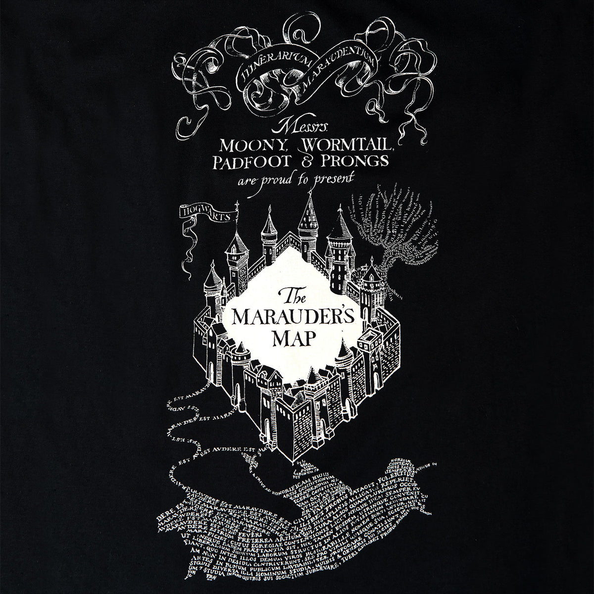 Produktbild Harry Potter - Karte des Rumtreibers T-Shirt schwarz