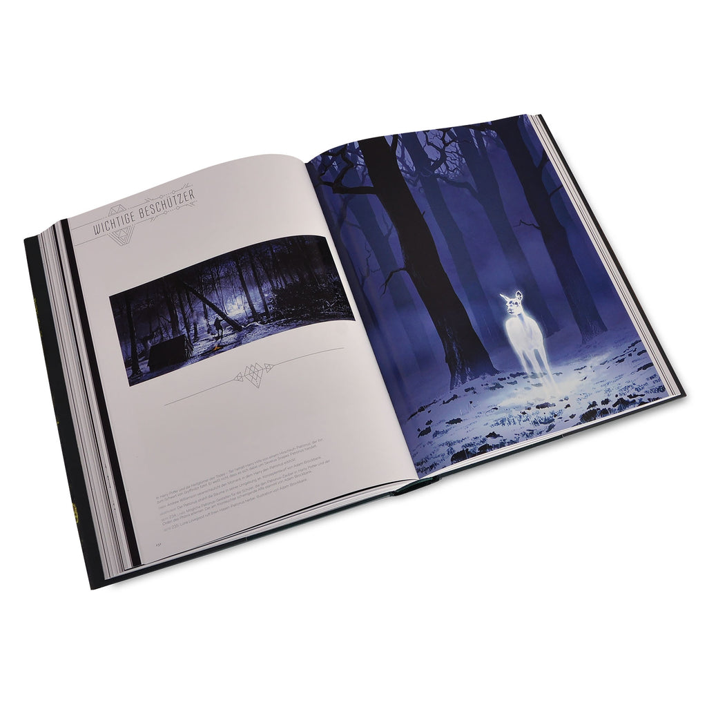 Produktbild The Art of Harry Potter - Das große Harry-Potter-Buch