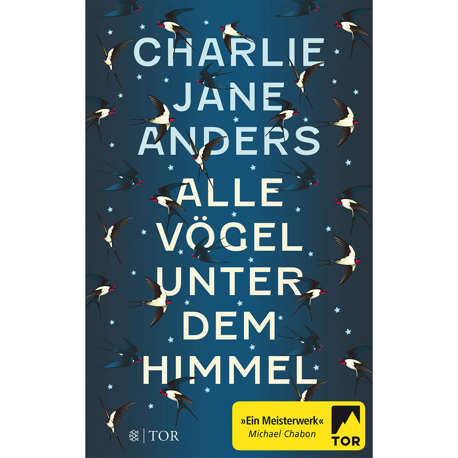 Produktbild Alle Vögel unter dem Himmel - Taschenbuch