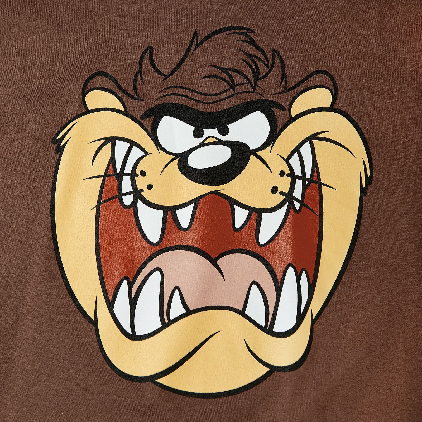 Produktbild Looney Tunes - Taz Face T-Shirt braun
