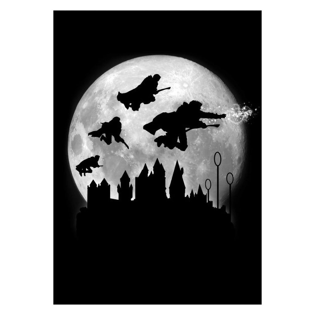 Produktbild Magic Flight at Night Metall Poster für Harry Potter Fans