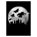 Produktbild Magic Flight at Night Metall Poster für Harry Potter Fans