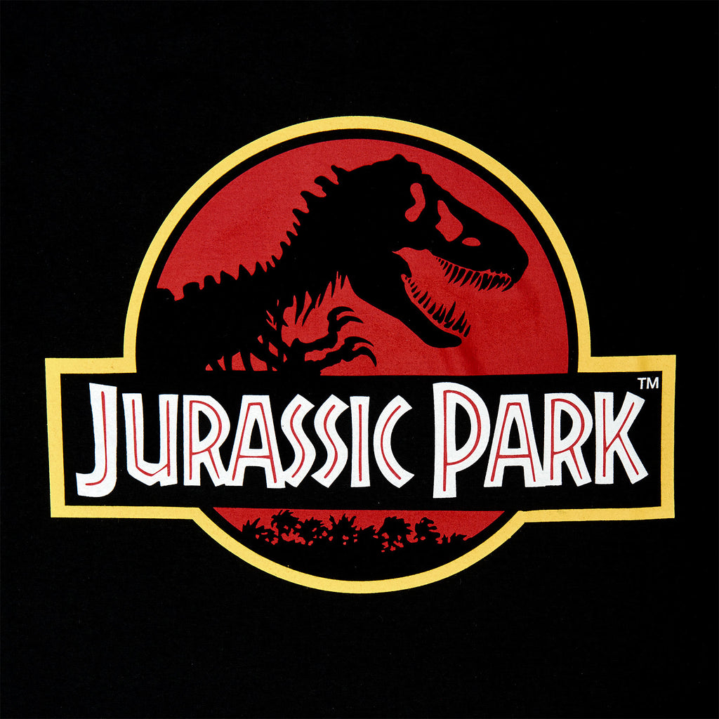 Produktbild Jurassic Park - Movie Logo Hoodie schwarz