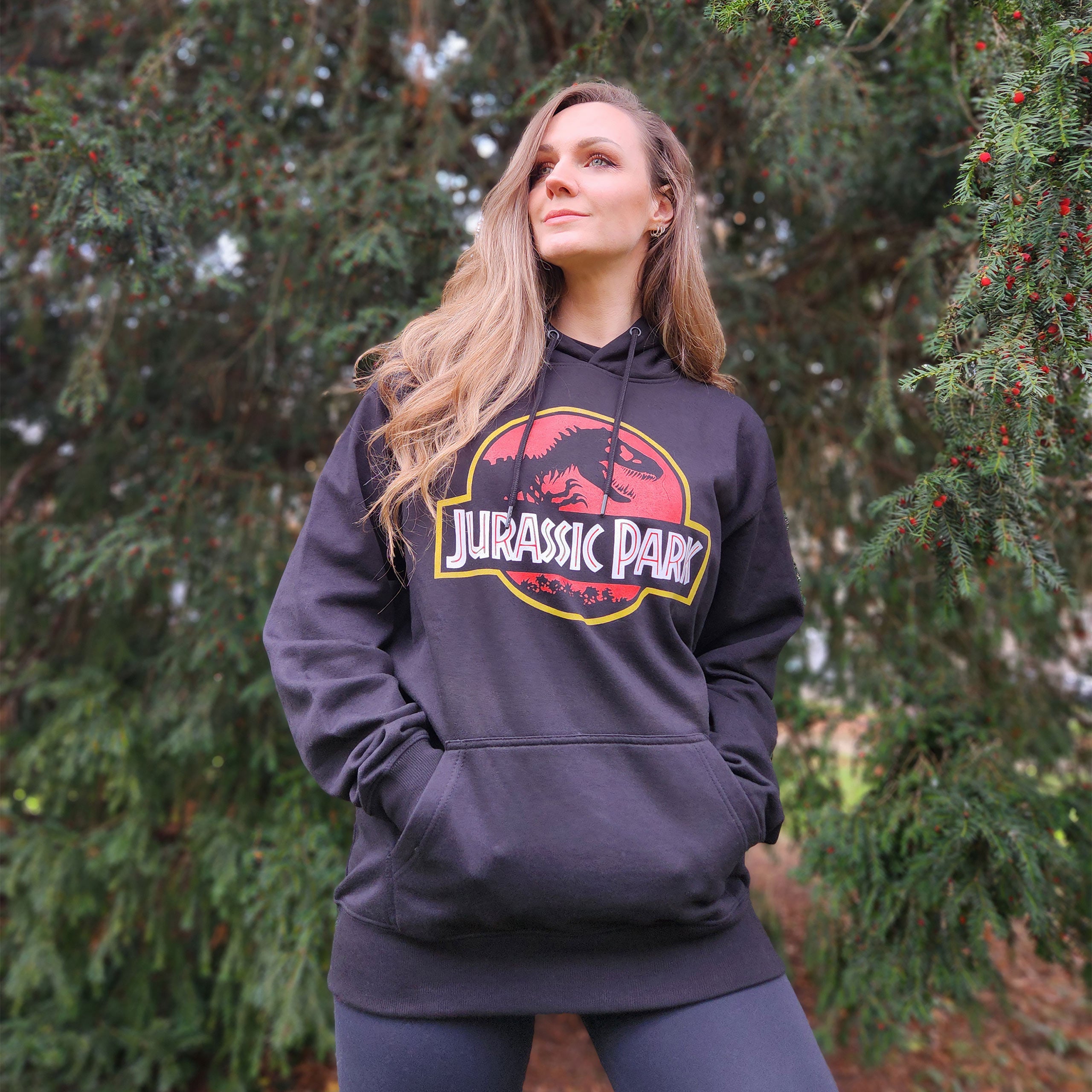 Produktbild Jurassic Park - Movie Logo Hoodie schwarz