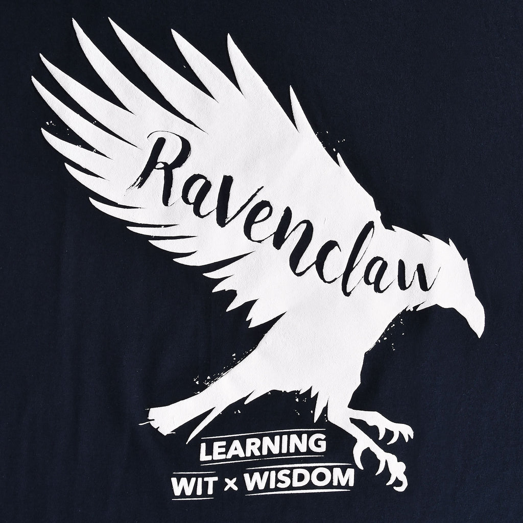 Produktbild Harry Potter - Ravenclaw House Pride T-Shirt blau