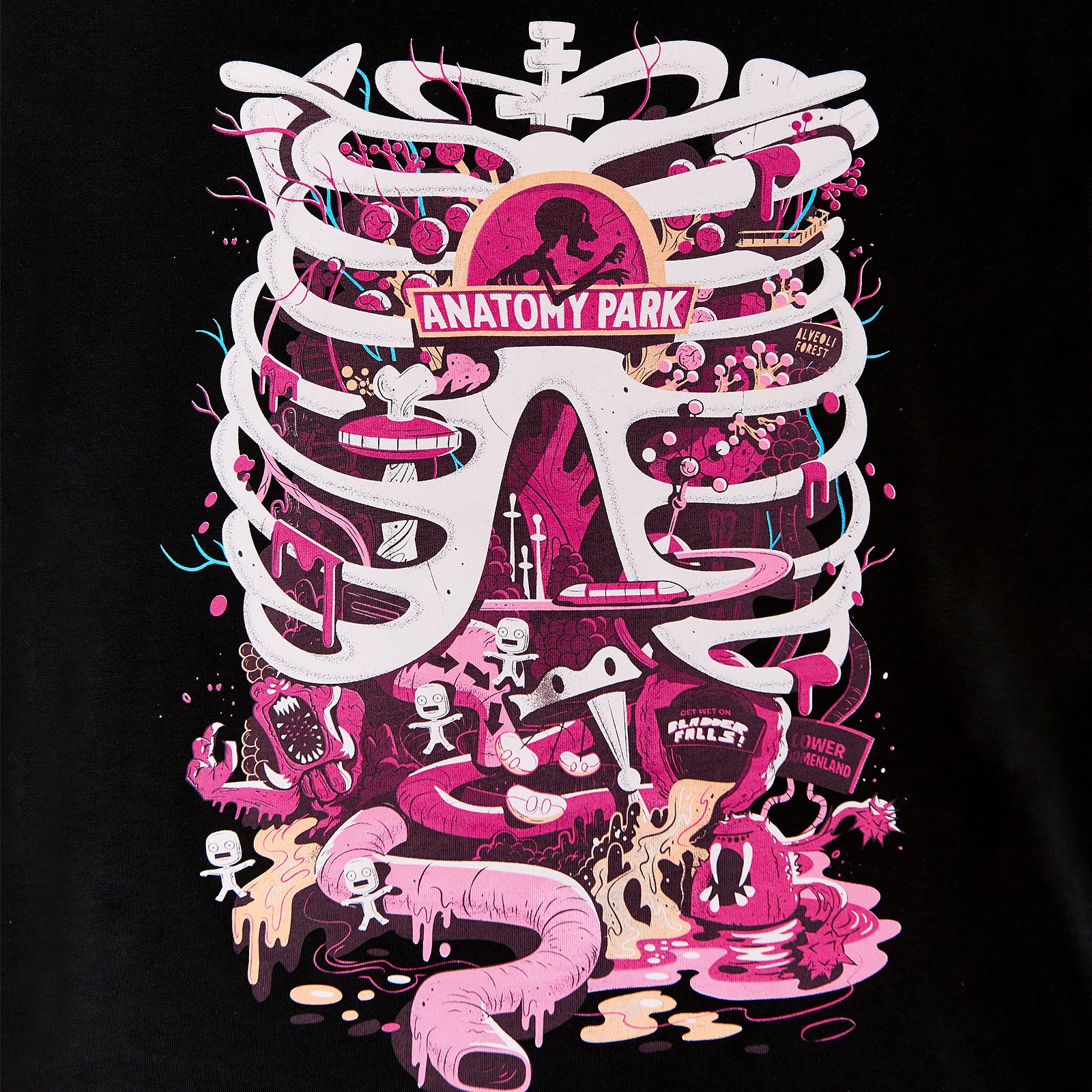 Produktbild Rick and Morty - Anatomy Park T-Shirt Damen schwarz