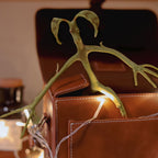 Produktbild Phantastische Tierwesen - Biegbare Bowtruckle Figur 19cm