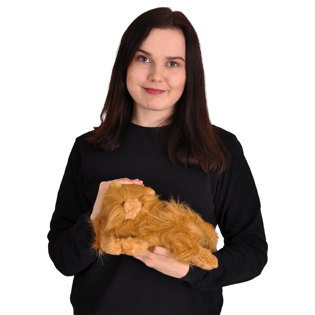 Produktbild Harry Potter - Krummbein Plüsch Figur 25 cm