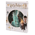 Produktbild Harry Potter - Harry vs. Voldemort Wandbild mit Licht