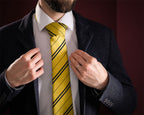 Product image Harry Potter - Hufflepuff Tie with Gift Box