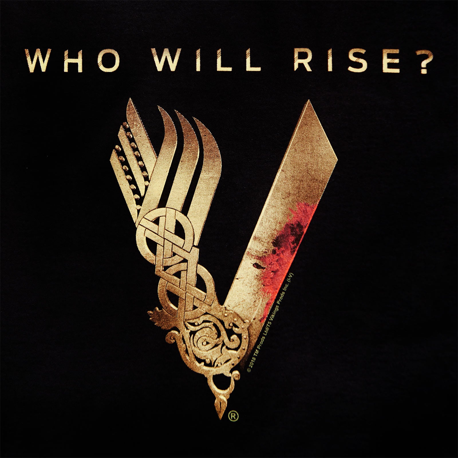 Produktbild Vikings - Who Will Rise Logo T-Shirt schwarz