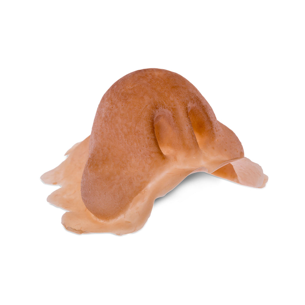 Produktbild Knoll - Nase aus Latex