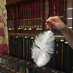 Produktbild Harry Potter - Wingardium Leviosa Zauberstab & Feder Set