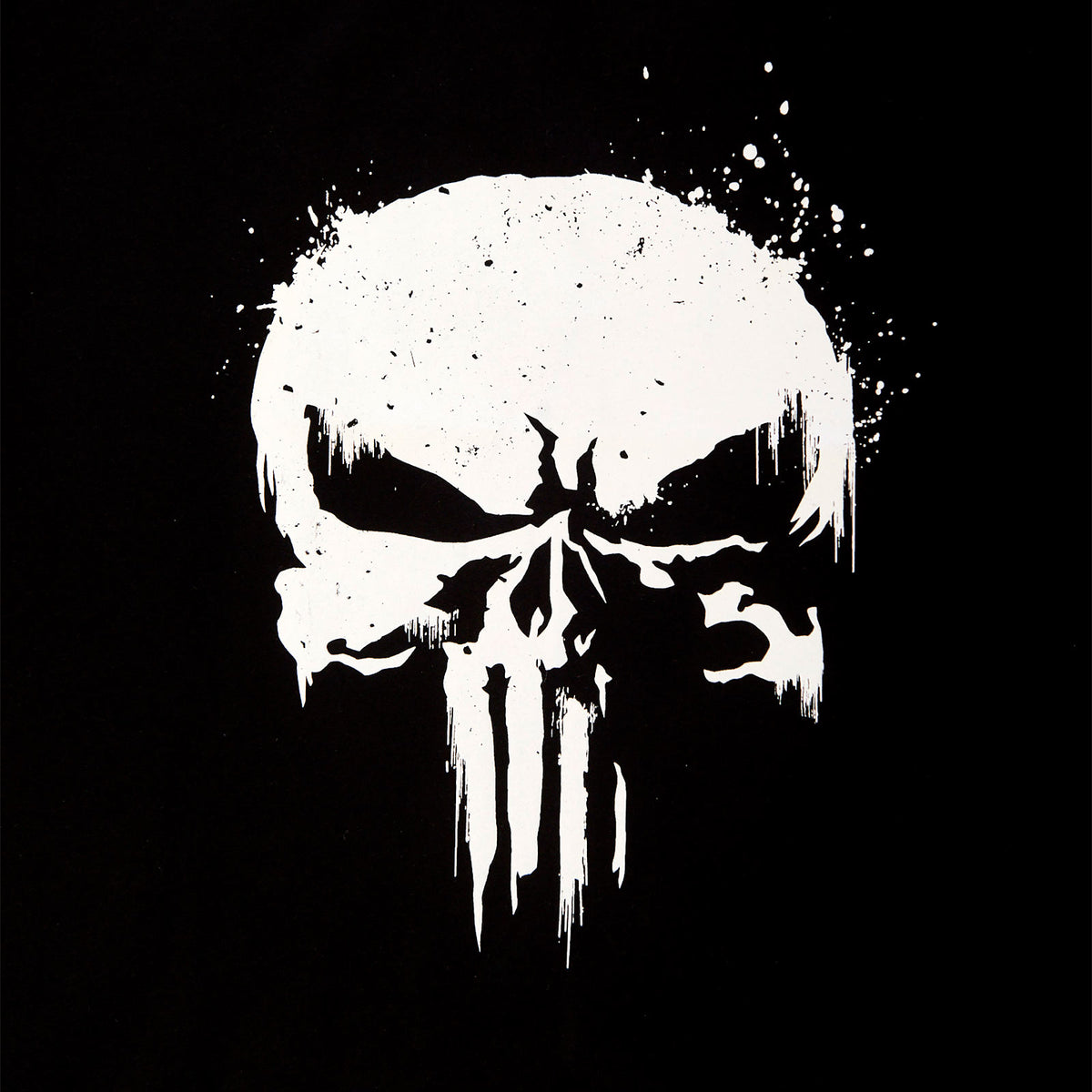 Produktbild Punisher - Skull Logo T-Shirt mit Ärmelprint schwarz