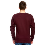Product image Harry Potter - Team Gryffindor Sweater red