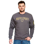 Produktbild Harry Potter - Team Hufflepuff Sweater grau