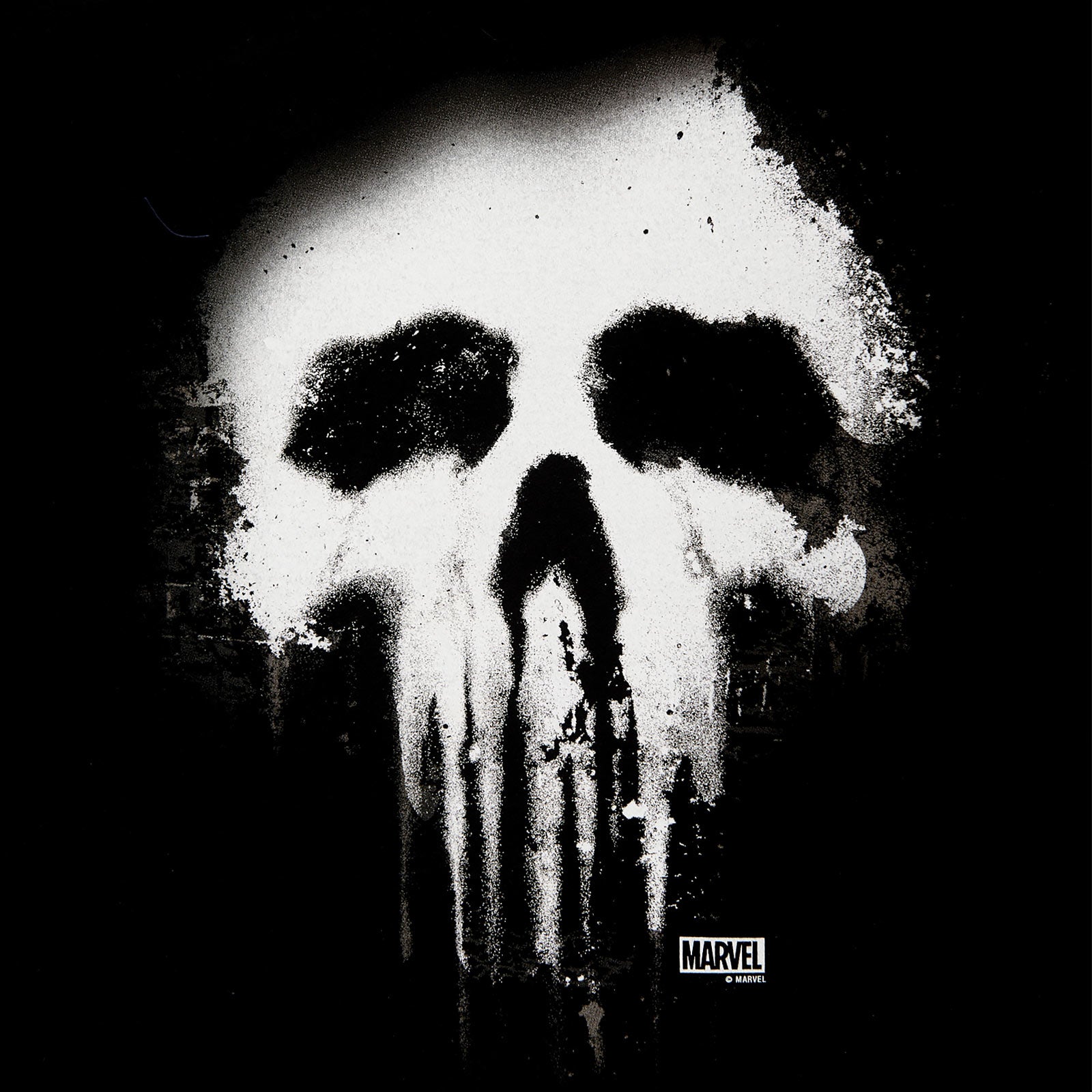 Produktbild Punisher - Faded Skull Logo T-Shirt schwarz