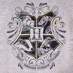 Produktbild Harry Potter - Hogwarts Kinder Hoodie grau