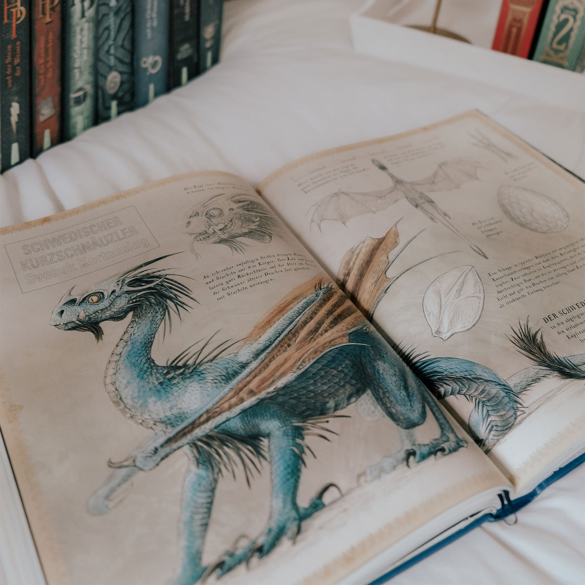 Produktbild Harry Potter und der Feuerkelch - Schmuckausgabe