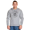 Produktbild Harry Potter - Hogwarts Wappen Hoodie grau