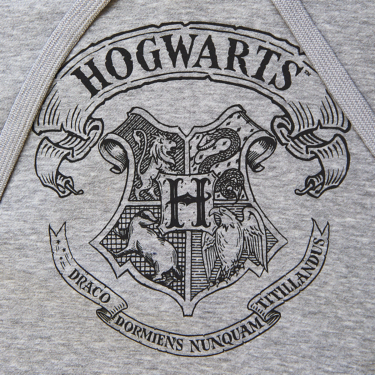 Produktbild Harry Potter - Hogwarts Wappen Hoodie grau