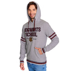 Produktbild Harry Potter - Hogwarts School Hoodie grau