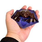 Product image Chocolate Frog Figure with Collector's Card - Harry Potter