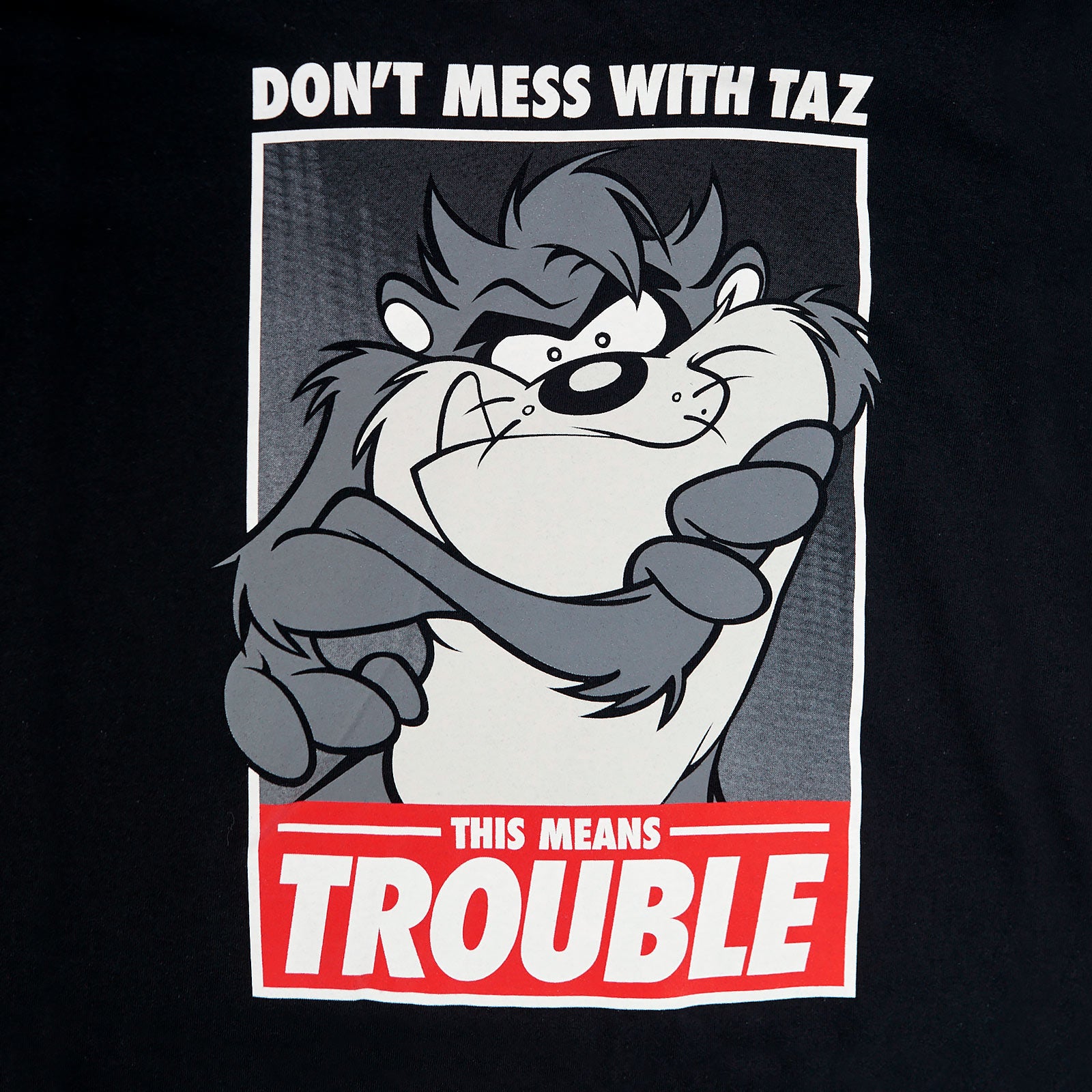 Produktbild Looney Tunes - Taz Trouble T-Shirt schwarz
