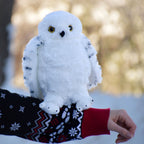 Produktbild Hedwig mit geöffneten Flügeln Plüsch Figur 28 cm - Harry Potter