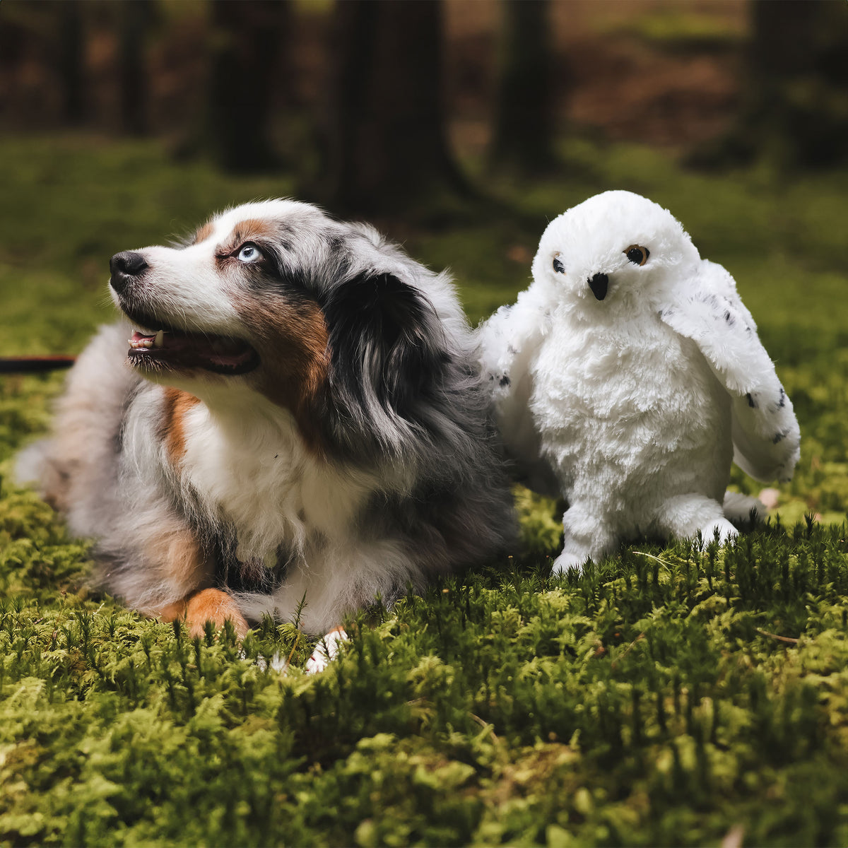Produktbild Hedwig mit geöffneten Flügeln Plüsch Figur 28 cm - Harry Potter